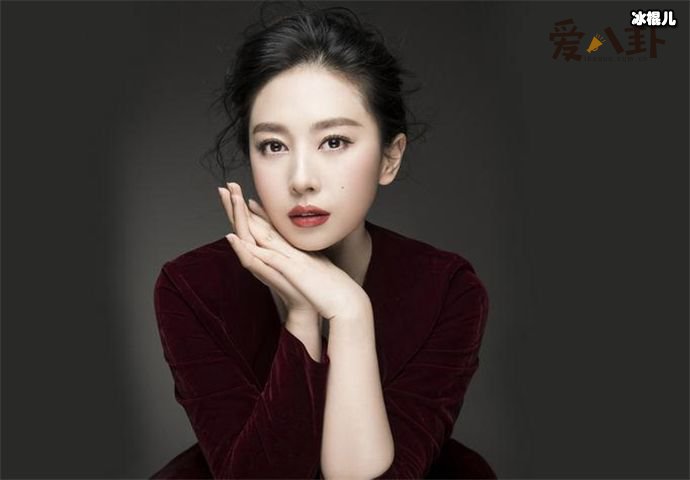 贾晓晨个人资料