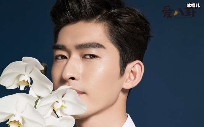 张翰否认和郑爽复合