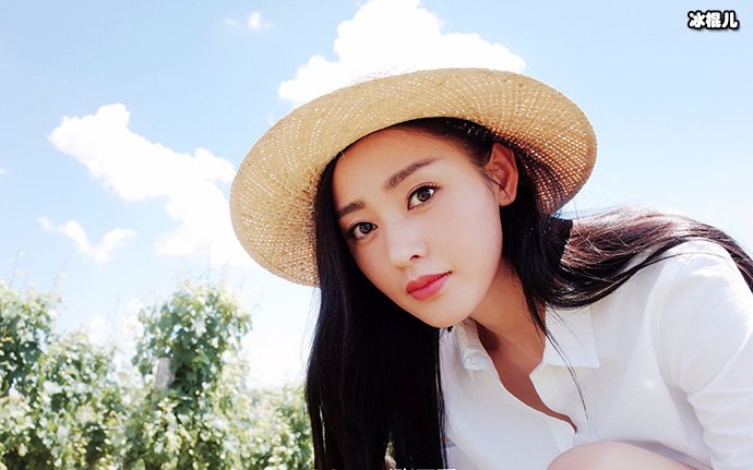 张天爱王大陆在2017年就已经有合作