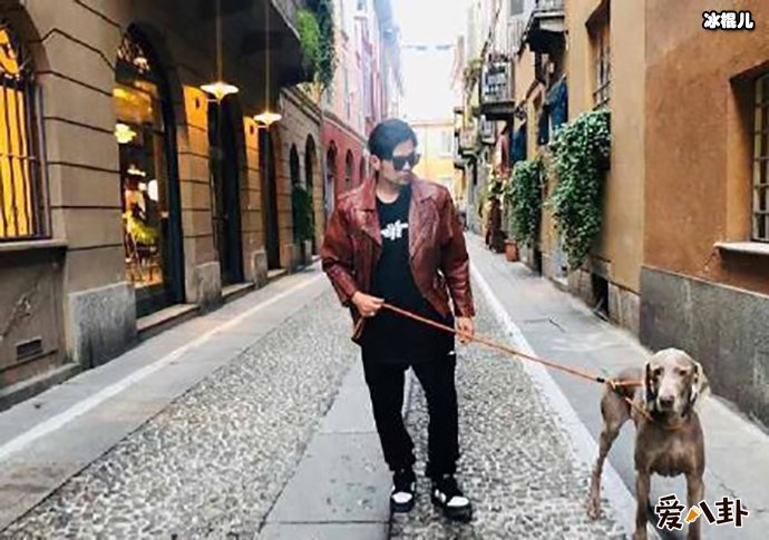 粉丝为林更新P的合照