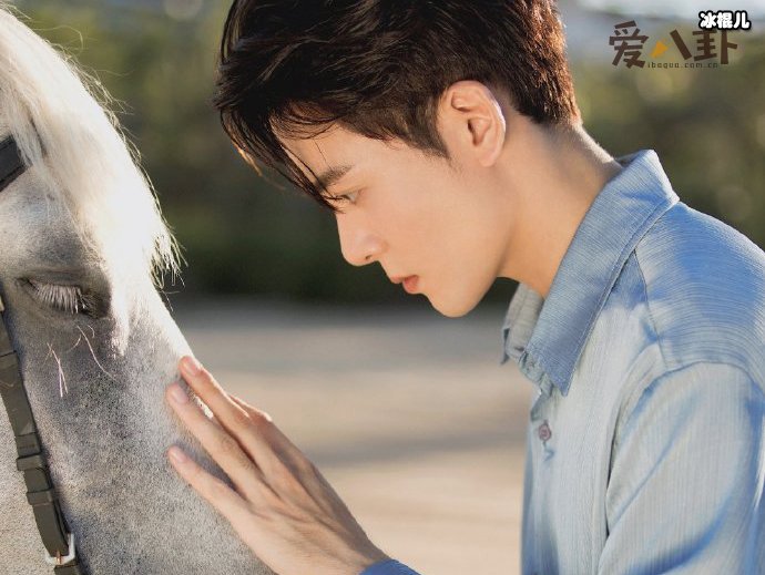 曾舜晞女朋友起底