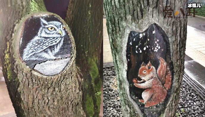 上海一公园树洞大变脸