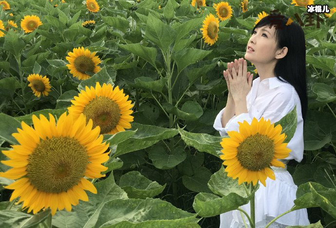 周慧敏为什么没生孩子