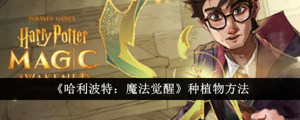 《哈利波特:魔法觉醒》种植物方法
