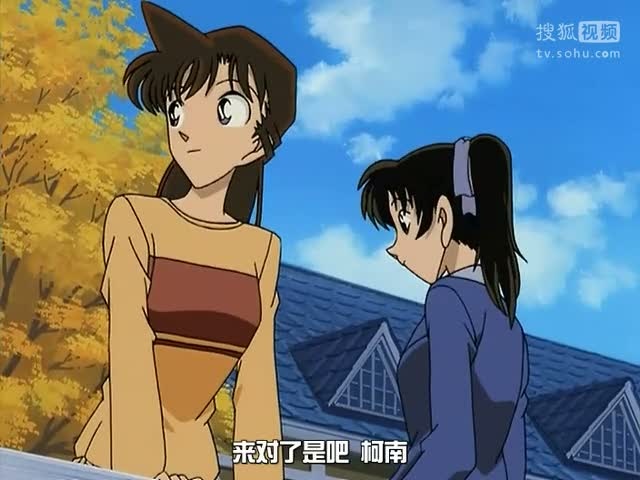 【名侦探柯南OVA追踪失踪的钻石亮点】深度剖析，那些让人拍案叫绝的精彩瞬间