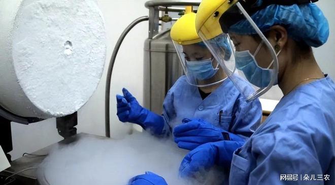 《捐精过程中的实际体验是什么样的？结合真实经历，解答常见疑问》