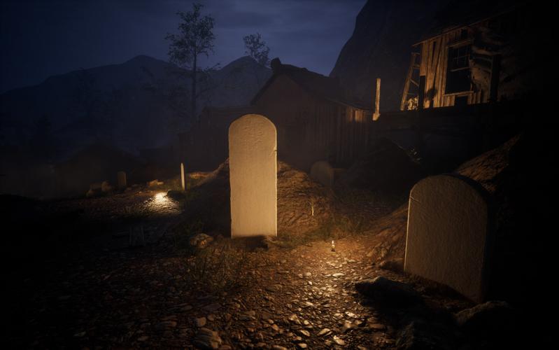 《阴森墓地的哭声：月圆之夜，墓地中传来的哭声，究竟从何而来？》