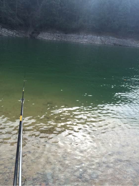 钓鱼日常_钓鱼技巧教程_钓鱼经验分享