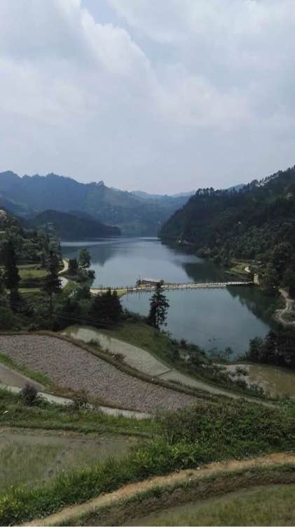 钓鱼日常_钓鱼技巧教程_钓鱼经验分享