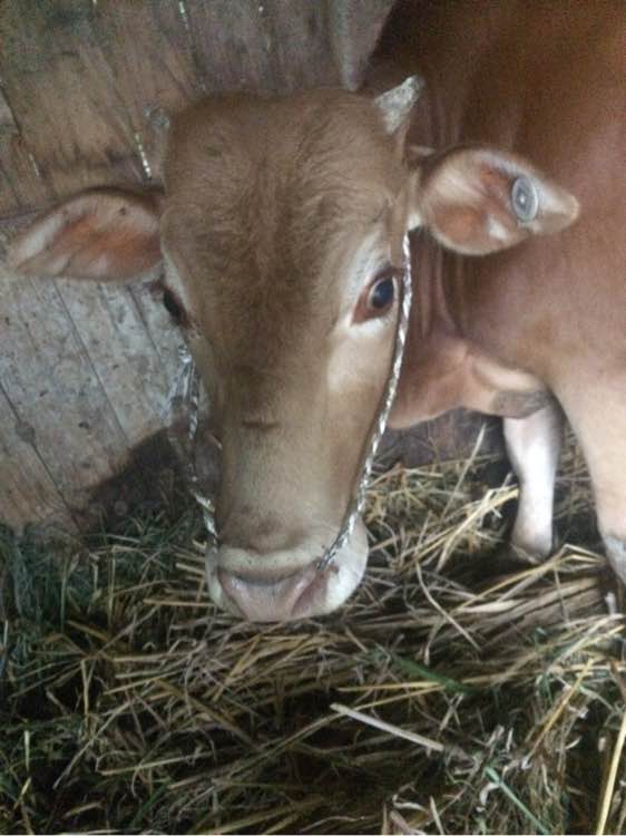 钓鱼技巧教程_钓鱼日常_钓鱼经验分享