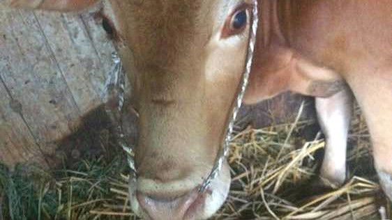 钓鱼技巧教程_钓鱼经验分享_钓鱼日常