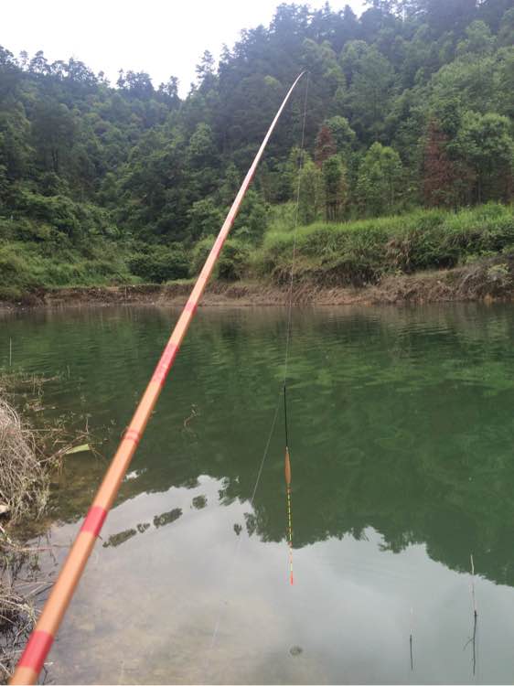 钓鱼技巧教程_钓鱼经验分享_钓鱼日常