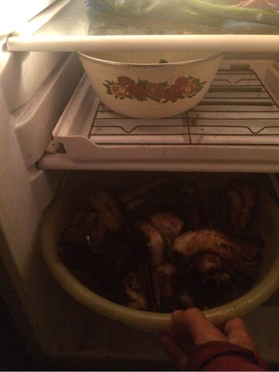 钓鱼经验分享_钓鱼技巧教程_钓鱼日常