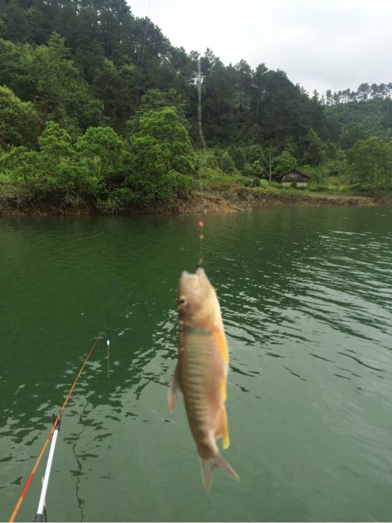 钓鱼技巧教程_钓鱼经验分享_钓鱼日常