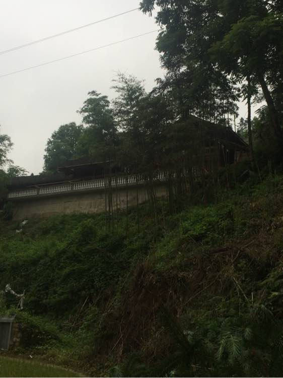 钓鱼技巧教程_钓鱼日常_钓鱼经验分享