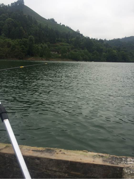 钓鱼经验分享_钓鱼日常_钓鱼技巧教程