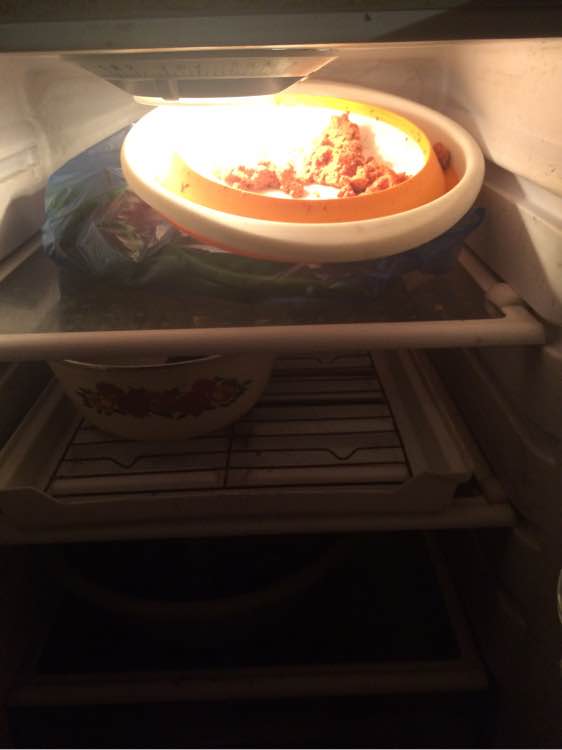 钓鱼日常_钓鱼经验分享_钓鱼技巧教程