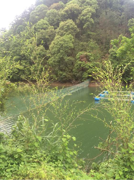 钓鱼经验分享_钓鱼日常_钓鱼技巧教程