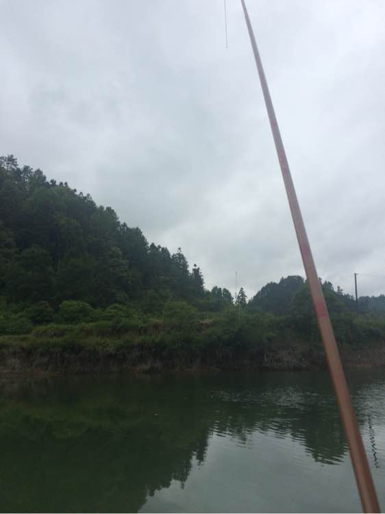 钓鱼日常_钓鱼经验分享_钓鱼技巧教程