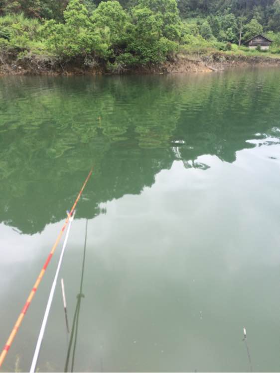 钓鱼技巧教程_钓鱼经验分享_钓鱼日常