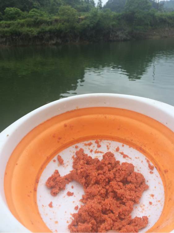 钓鱼经验分享_钓鱼日常_钓鱼技巧教程