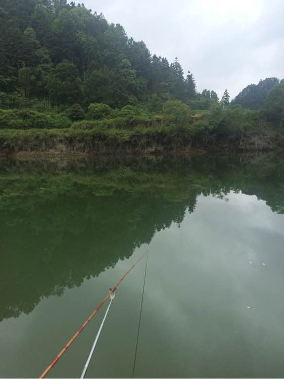 钓鱼经验分享_钓鱼日常_钓鱼技巧教程