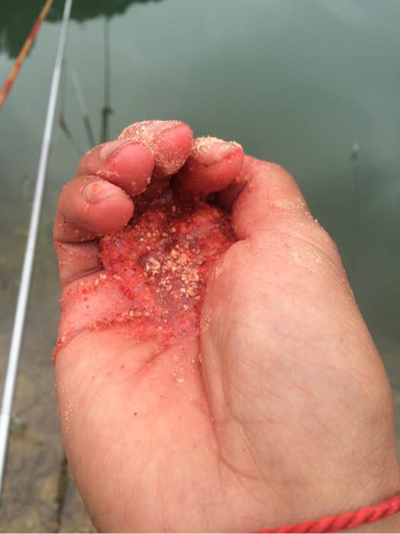 钓鱼日常_钓鱼经验分享_钓鱼技巧教程