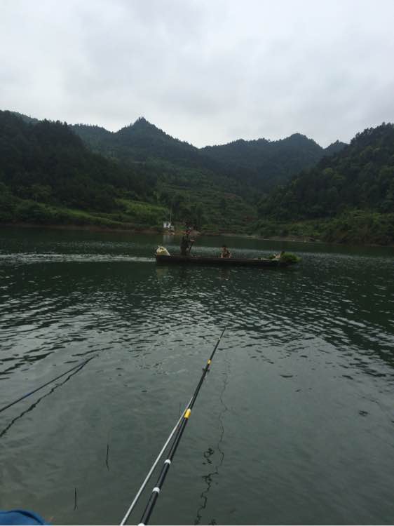 钓鱼日常_钓鱼技巧教程_钓鱼经验分享