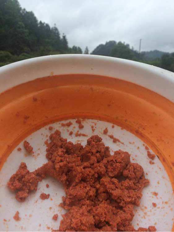 钓鱼技巧教程_钓鱼日常_钓鱼经验分享