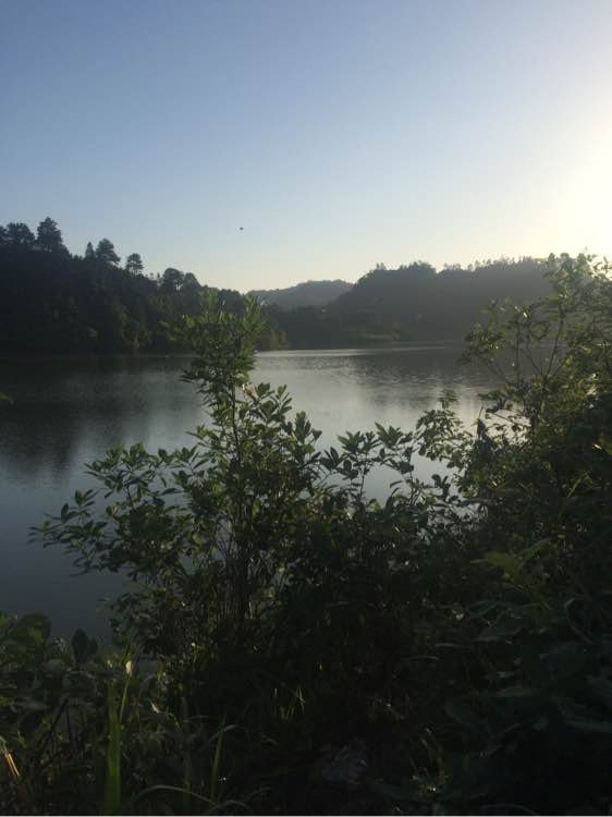 钓鱼日常_钓鱼经验分享_钓鱼技巧教程