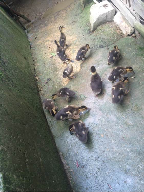 钓鱼日常_钓鱼技巧教程_钓鱼经验分享