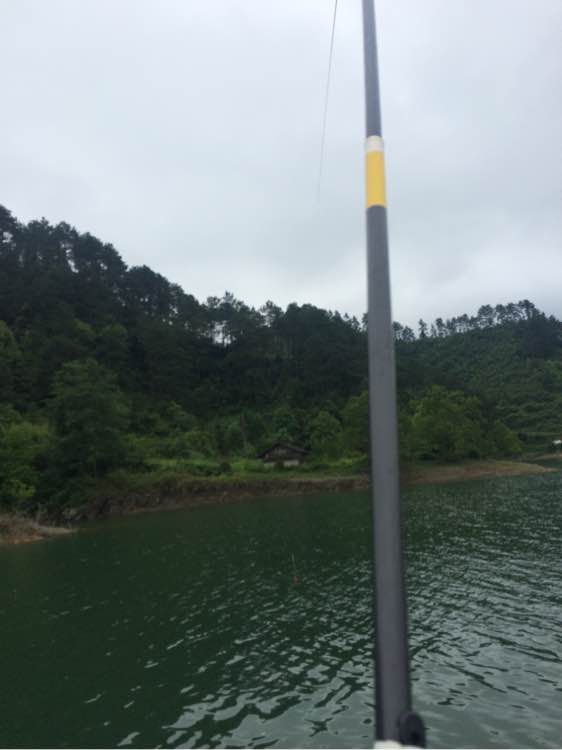 钓鱼日常_钓鱼经验分享_钓鱼技巧教程