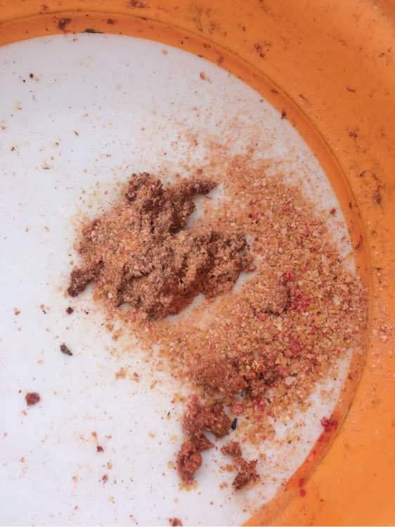 钓鱼经验分享_钓鱼日常_钓鱼技巧教程