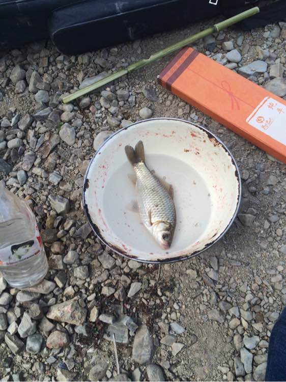 钓鱼日常_钓鱼技巧教程_钓鱼经验分享