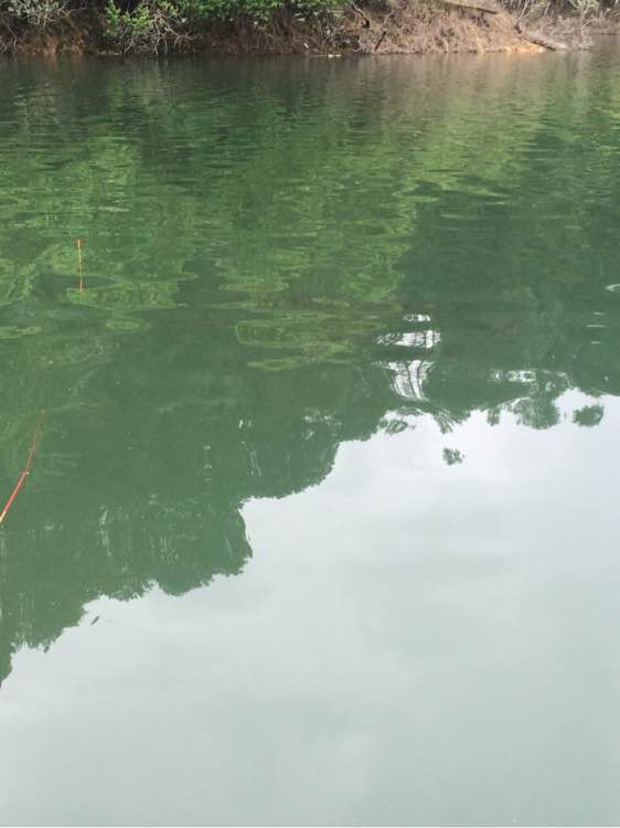 钓鱼技巧教程_钓鱼日常_钓鱼经验分享