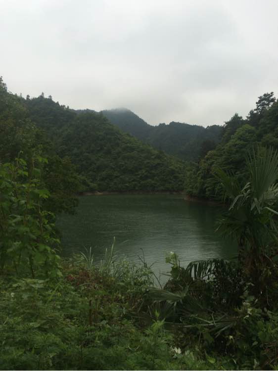 钓鱼技巧教程_钓鱼经验分享_钓鱼日常