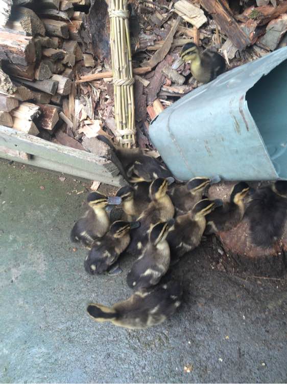 钓鱼技巧教程_钓鱼经验分享_钓鱼日常