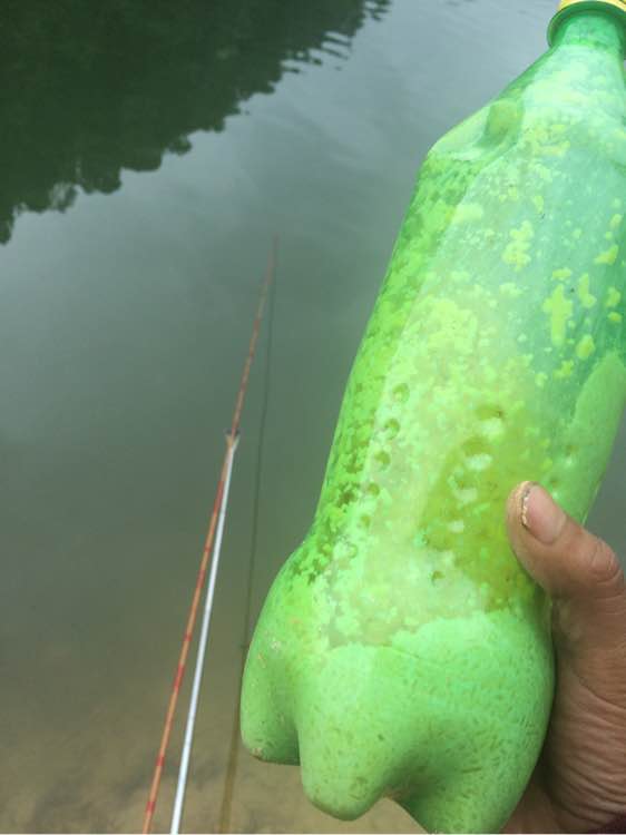 钓鱼经验分享_钓鱼技巧教程_钓鱼日常