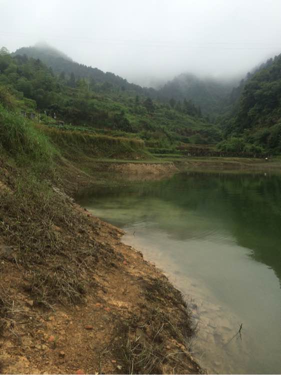 钓鱼日常_钓鱼技巧教程_钓鱼经验分享