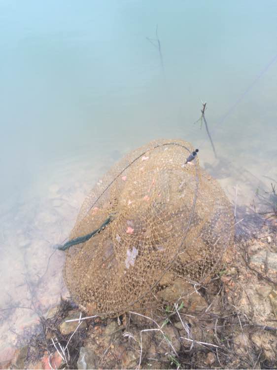 钓鱼技巧教程_钓鱼日常_钓鱼经验分享