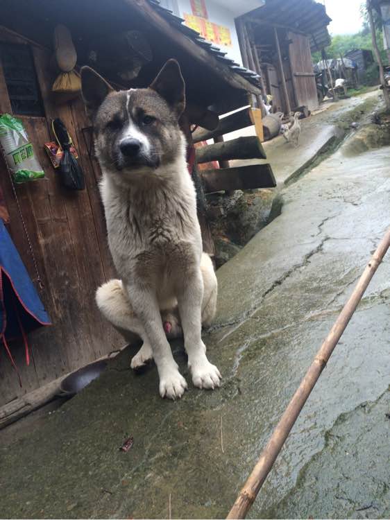 钓鱼技巧教程_钓鱼日常_钓鱼经验分享