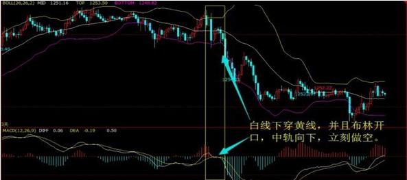加布林_布林加斯_布林加姆