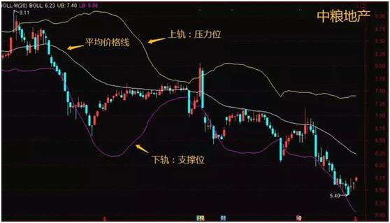 布林加德_布林加点_加布林