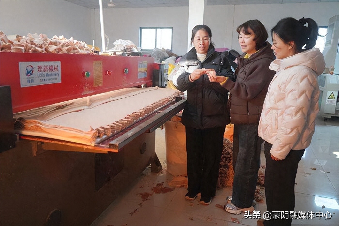 政协委员企业家邱慧敏_蒙阴县欧尚玩具厂_mmwyt