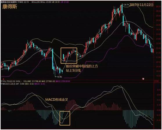 布林加点_布林加德_加布林
