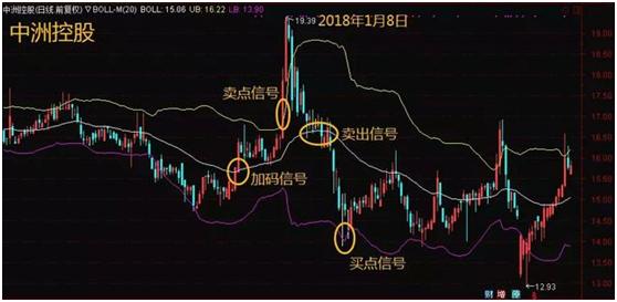 布林加点_加布林_布林加德
