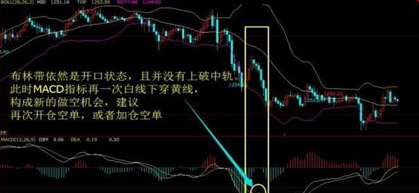 加布林_布林加斯_布林加姆