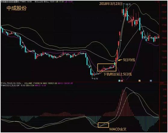 加布林_布林加点_布林加德