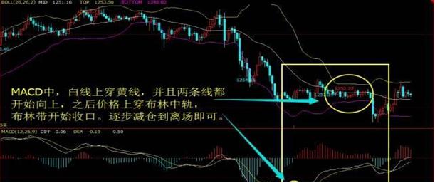 加布林_布林加姆_布林加斯