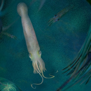 2xing_致敬名人动物名字_动物拉丁学名命名